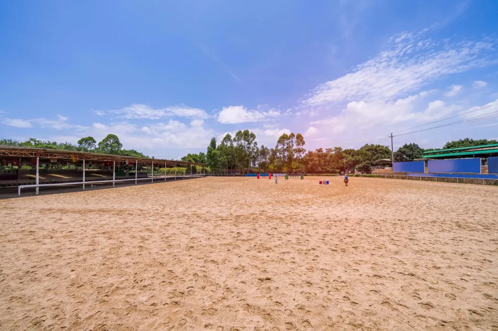 Centre d'équitation / Club d'équitation à Martainville