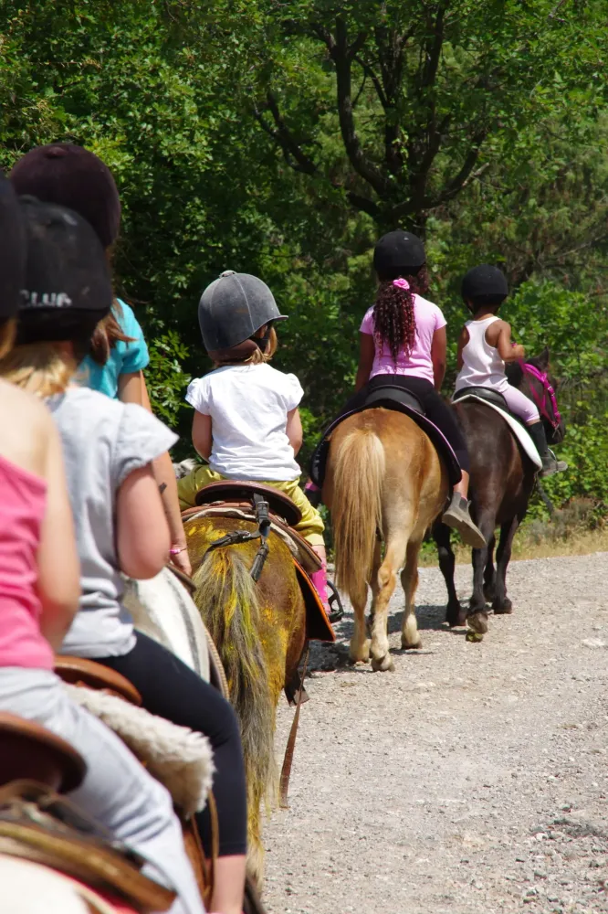 Randonnée équestre à Martainville