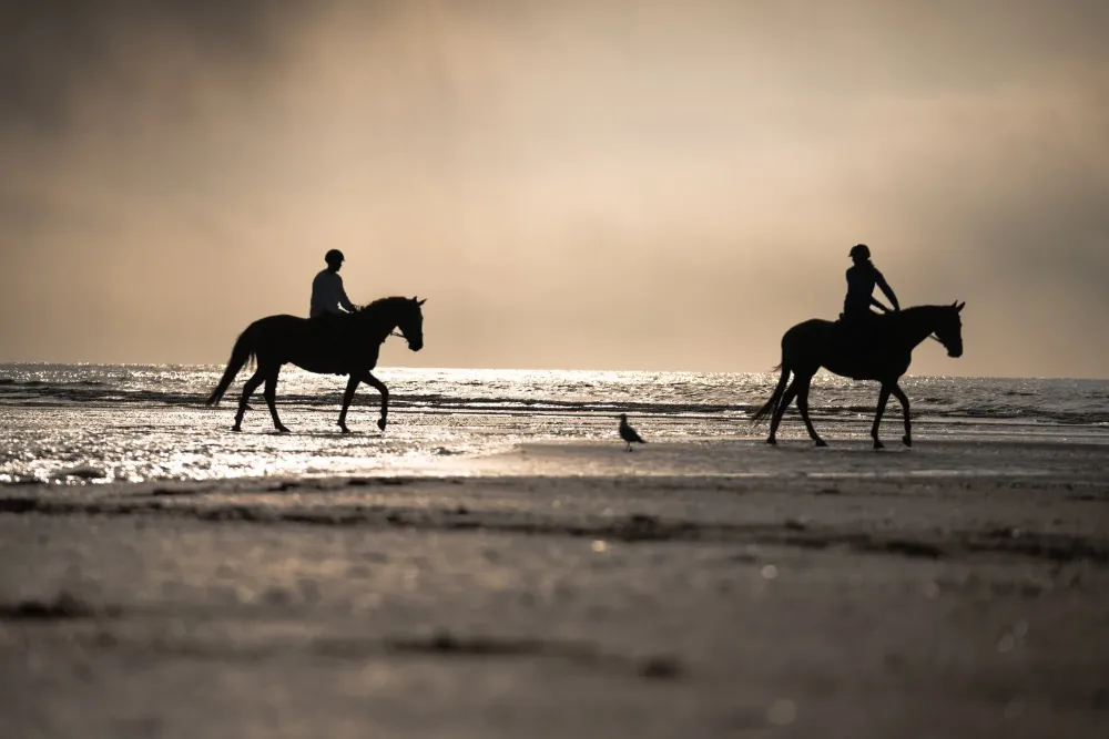 photo-la-taille-ronde-35