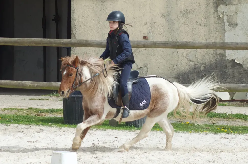 photo-la-taille-ronde-15