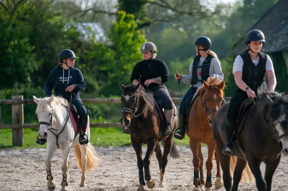 photo-la-taille-ronde-11